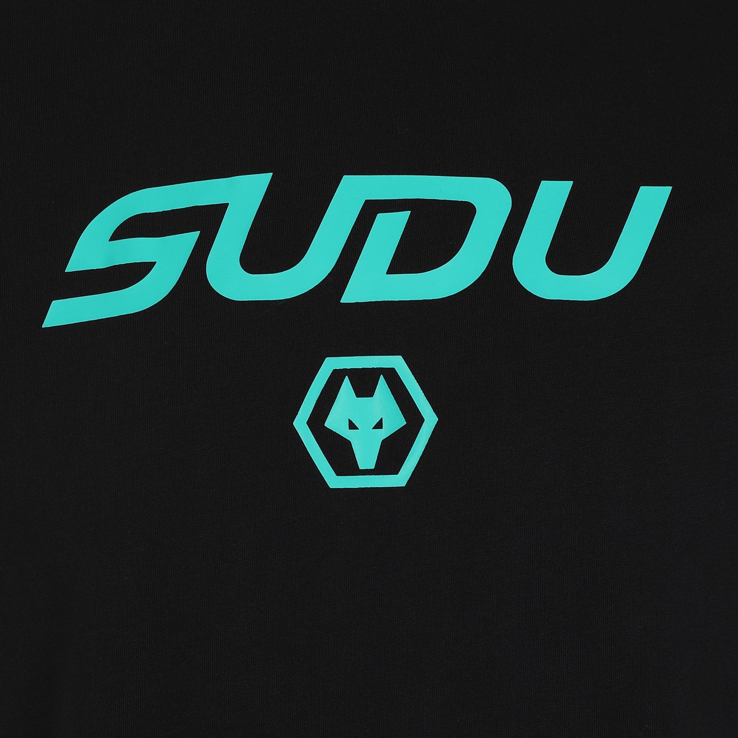 SUDU 2024-25 Coaches Travel Logo T-Shirt Short Sleeve T-Shirt